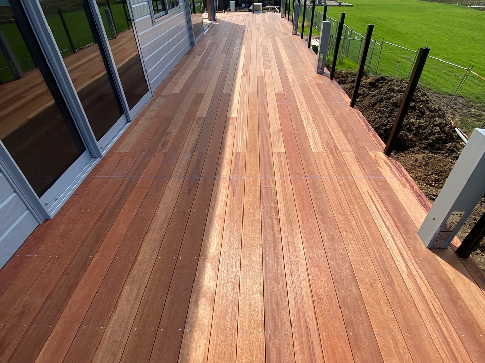 MicrosoftTeams Image (3)